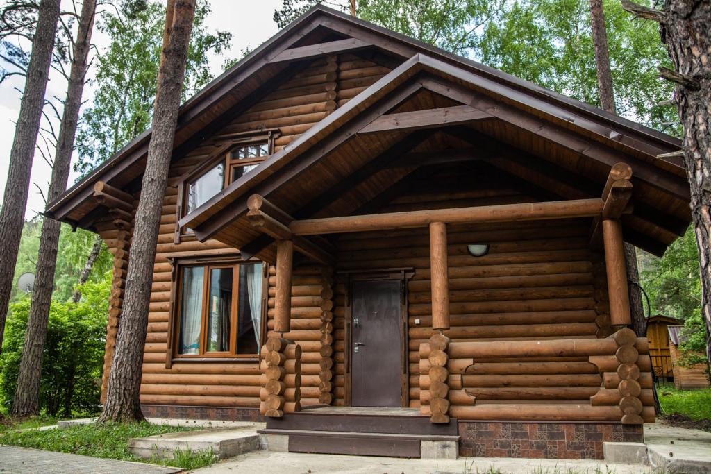 Сосна - фото 6