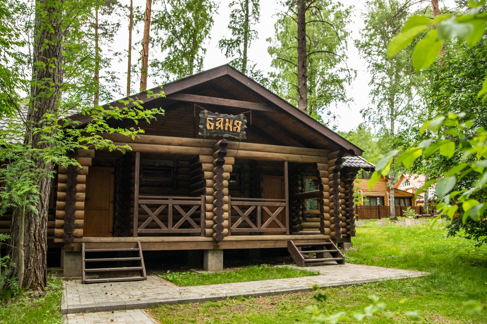 Сосна - фото 8