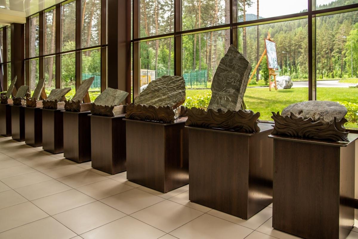 Сосна - фото 22