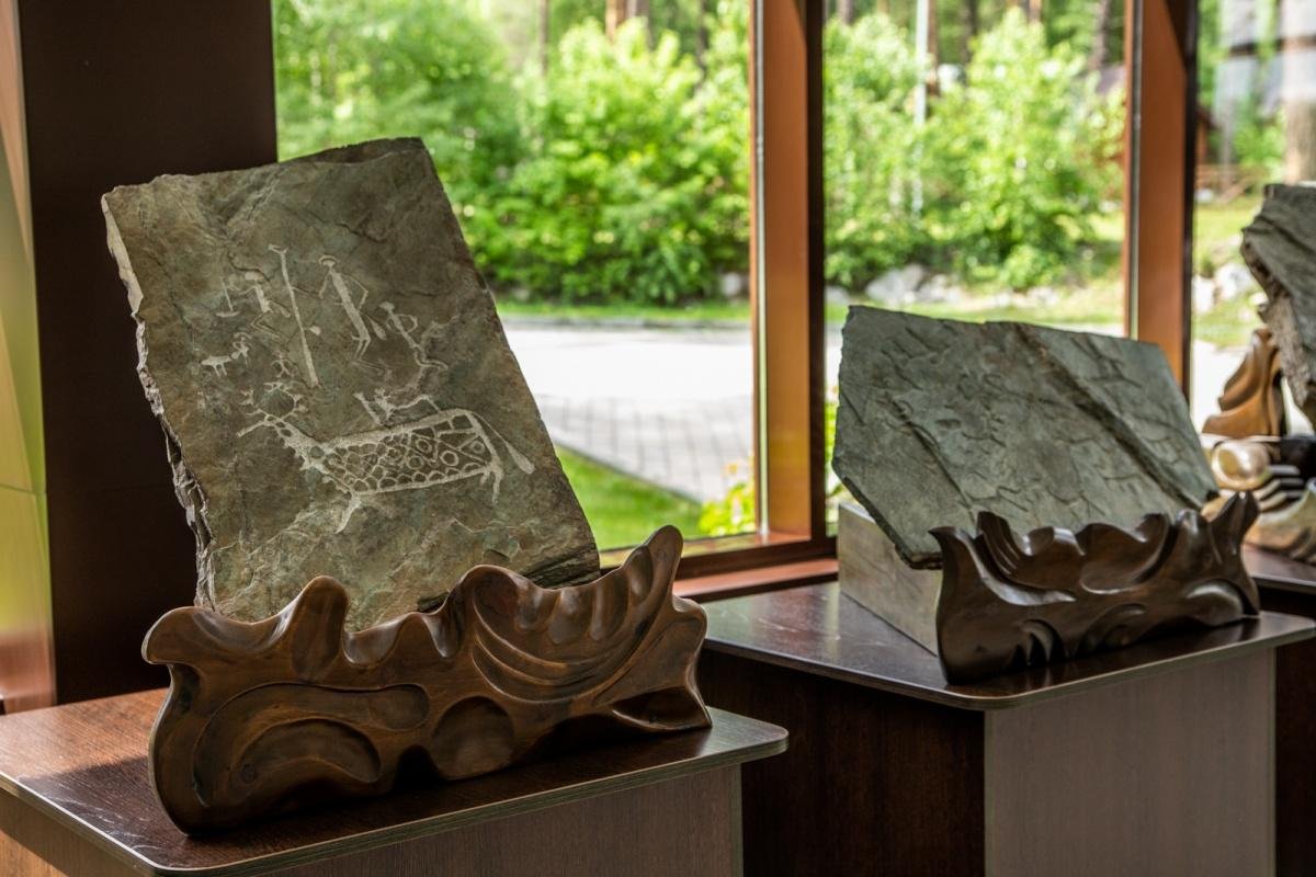 Сосна - фото 23