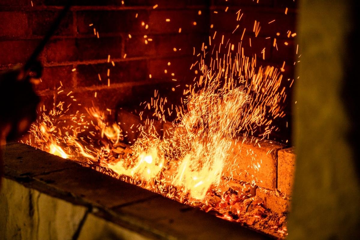 Сосна - фото 29