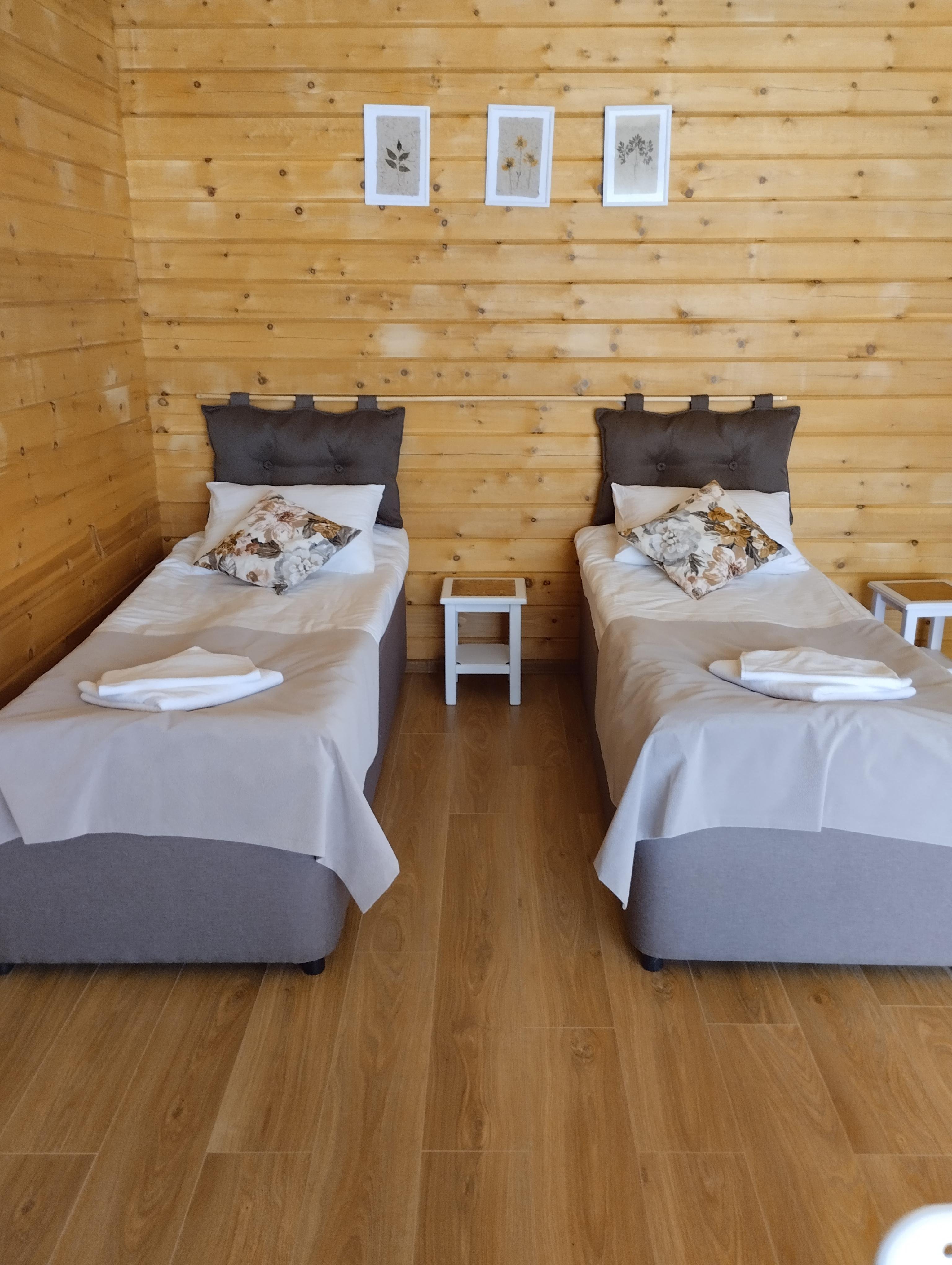 Атмосфера Алтая - фото 18