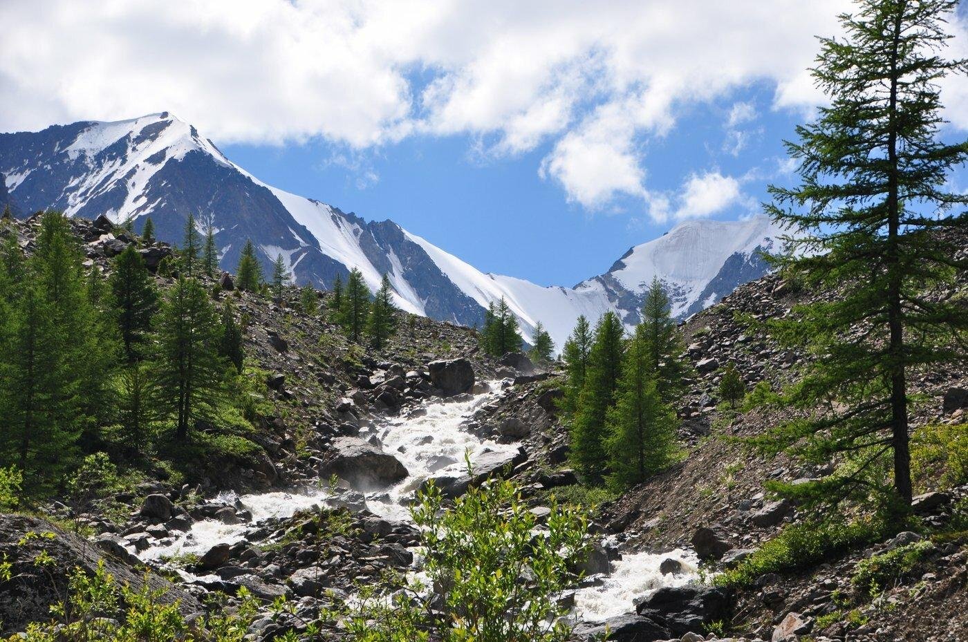 Атмосфера Алтая - фото 30
