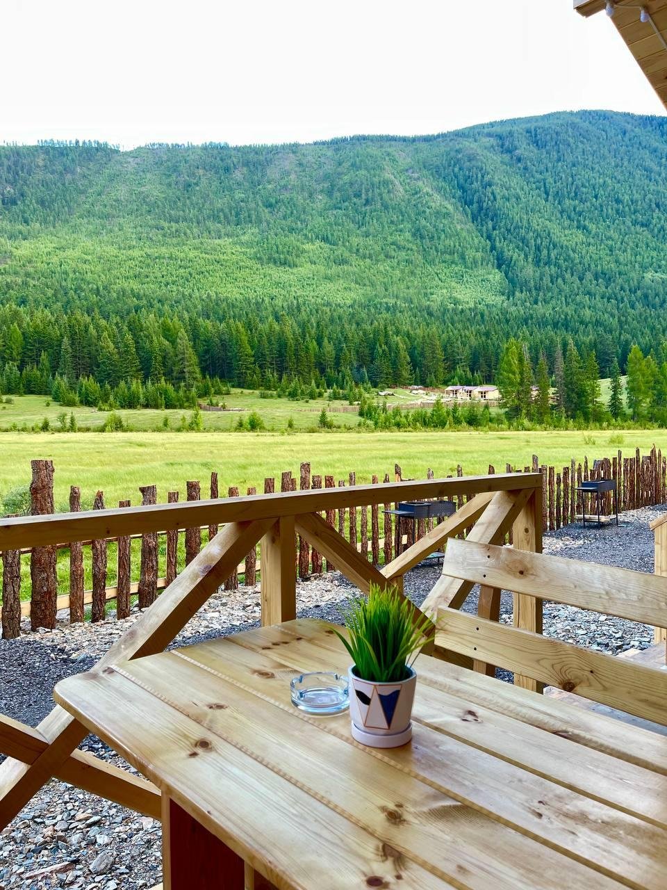 Атмосфера Алтая - фото 46