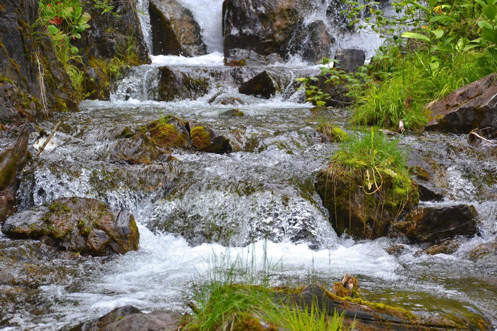 Атмосфера Алтая - фото 61
