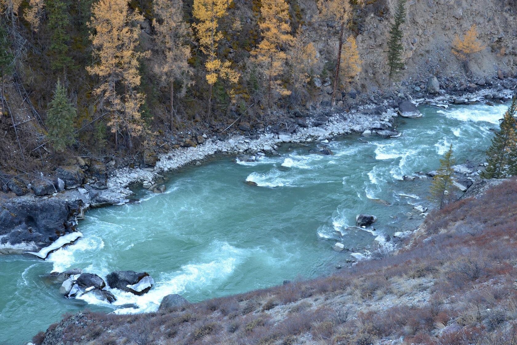 Атмосфера Алтая - фото 63