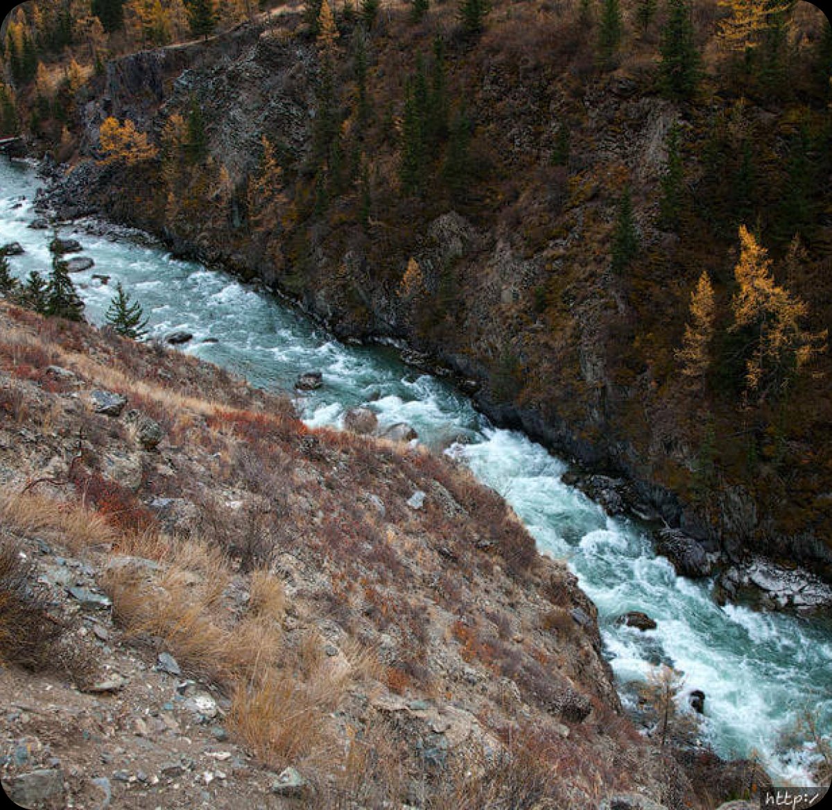 Атмосфера Алтая - фото 68