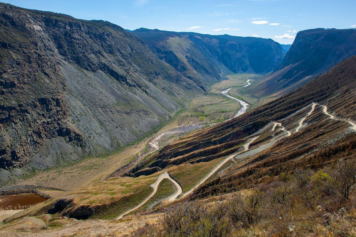 Атмосфера Алтая - фото 71