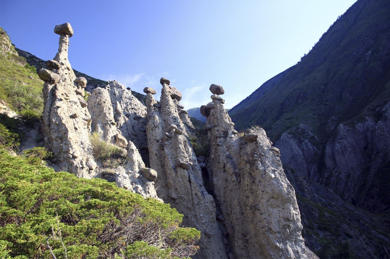 Атмосфера Алтая - фото 73