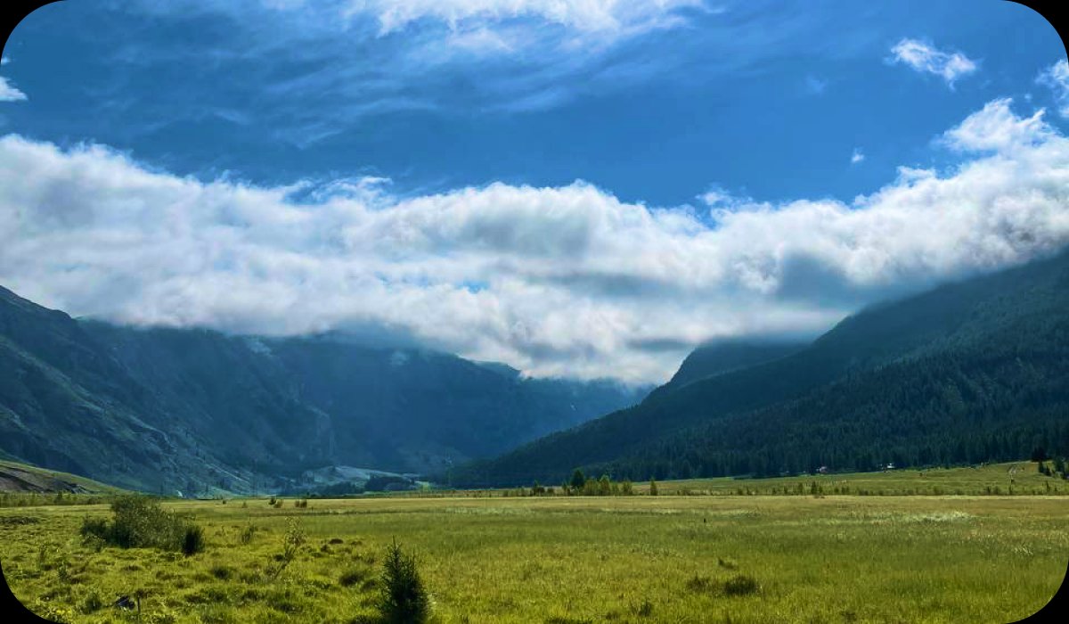 Атмосфера Алтая - фото 76