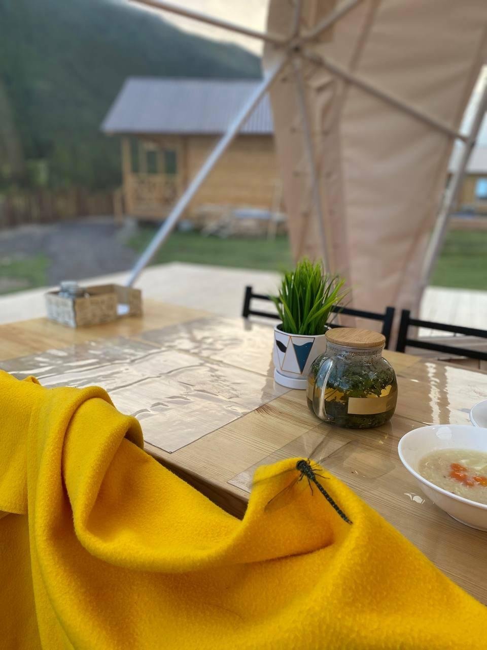 Атмосфера Алтая - фото 86