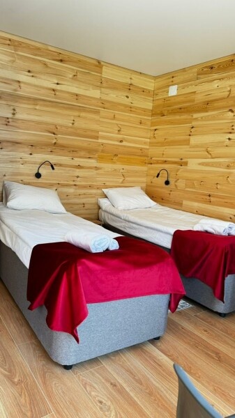 Стандарт - фото 1