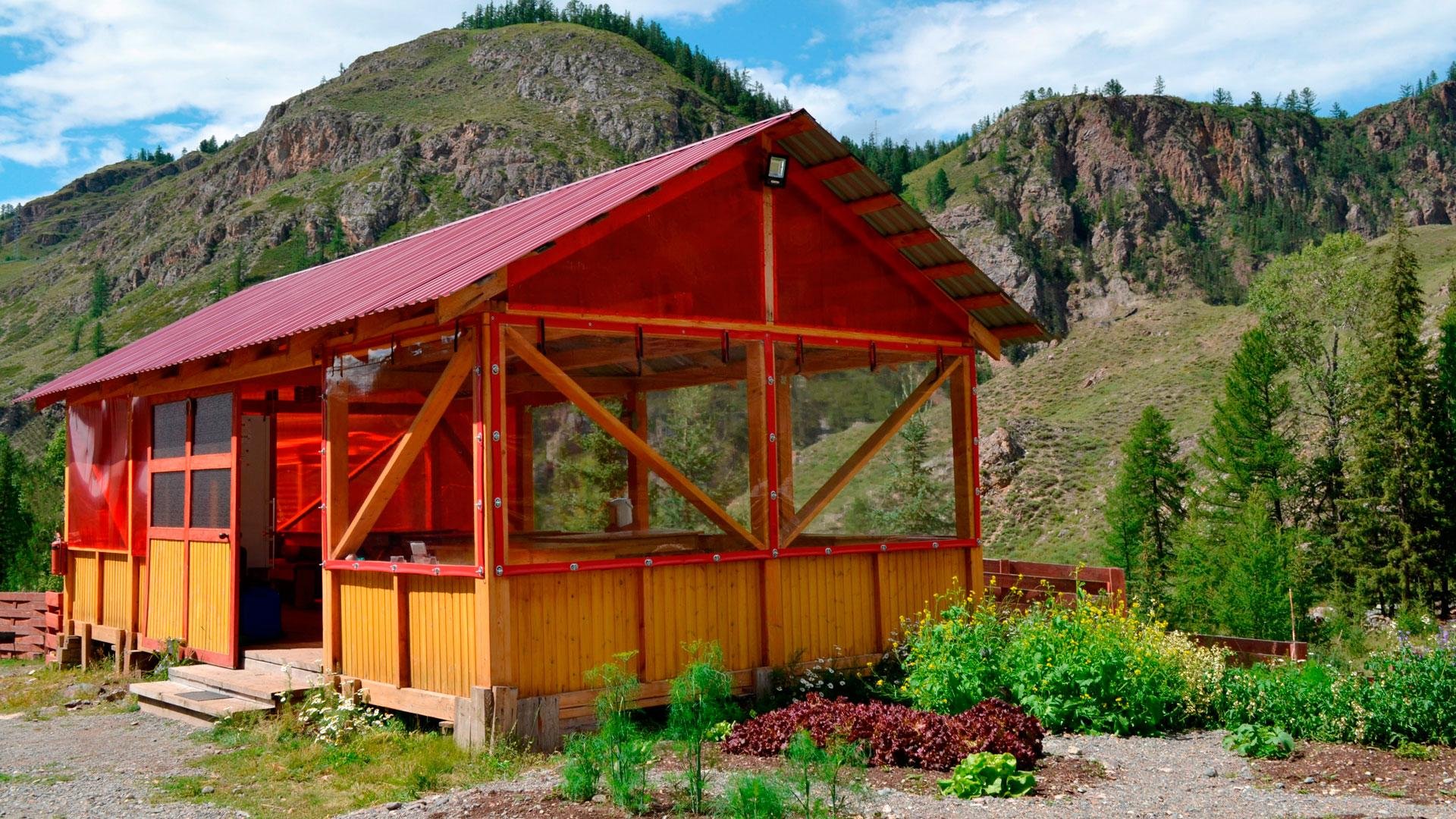 Красные ворота - фото 28