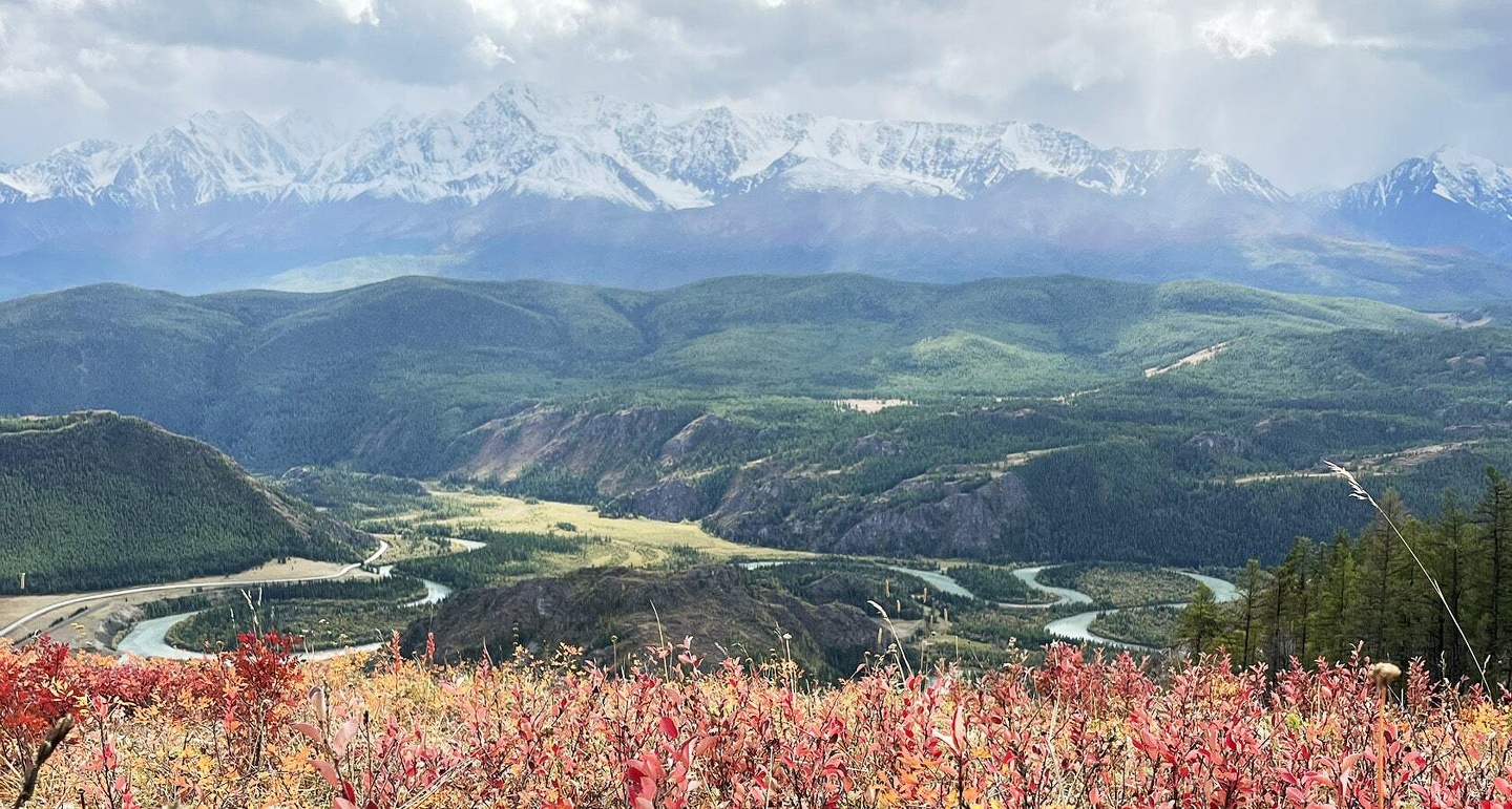 Красные ворота - фото 33