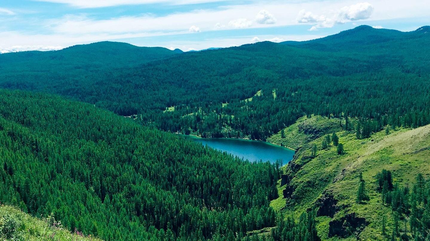 Красные ворота - фото 35