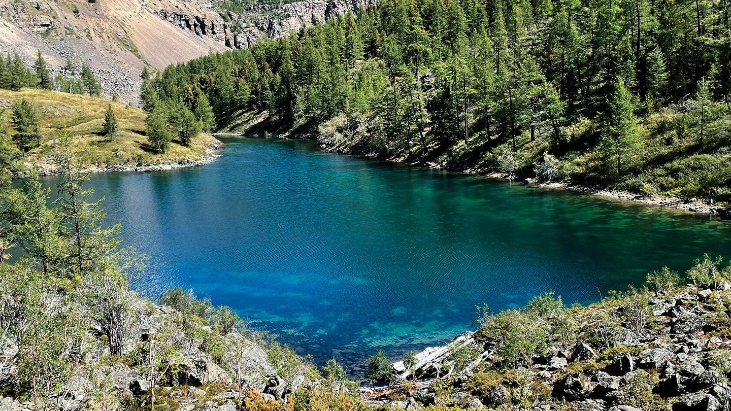 Красные ворота - фото 41