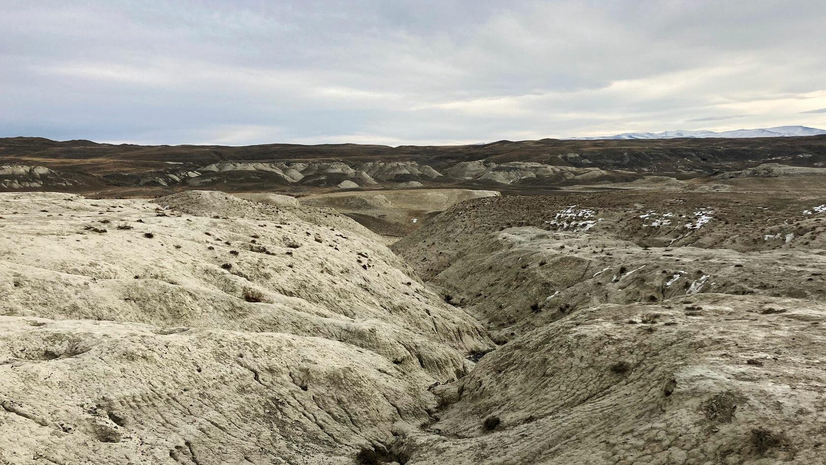 Красные ворота - фото 79