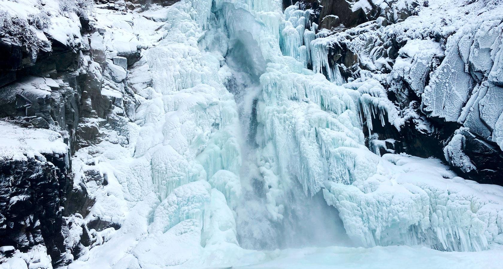 Красные ворота - фото 98