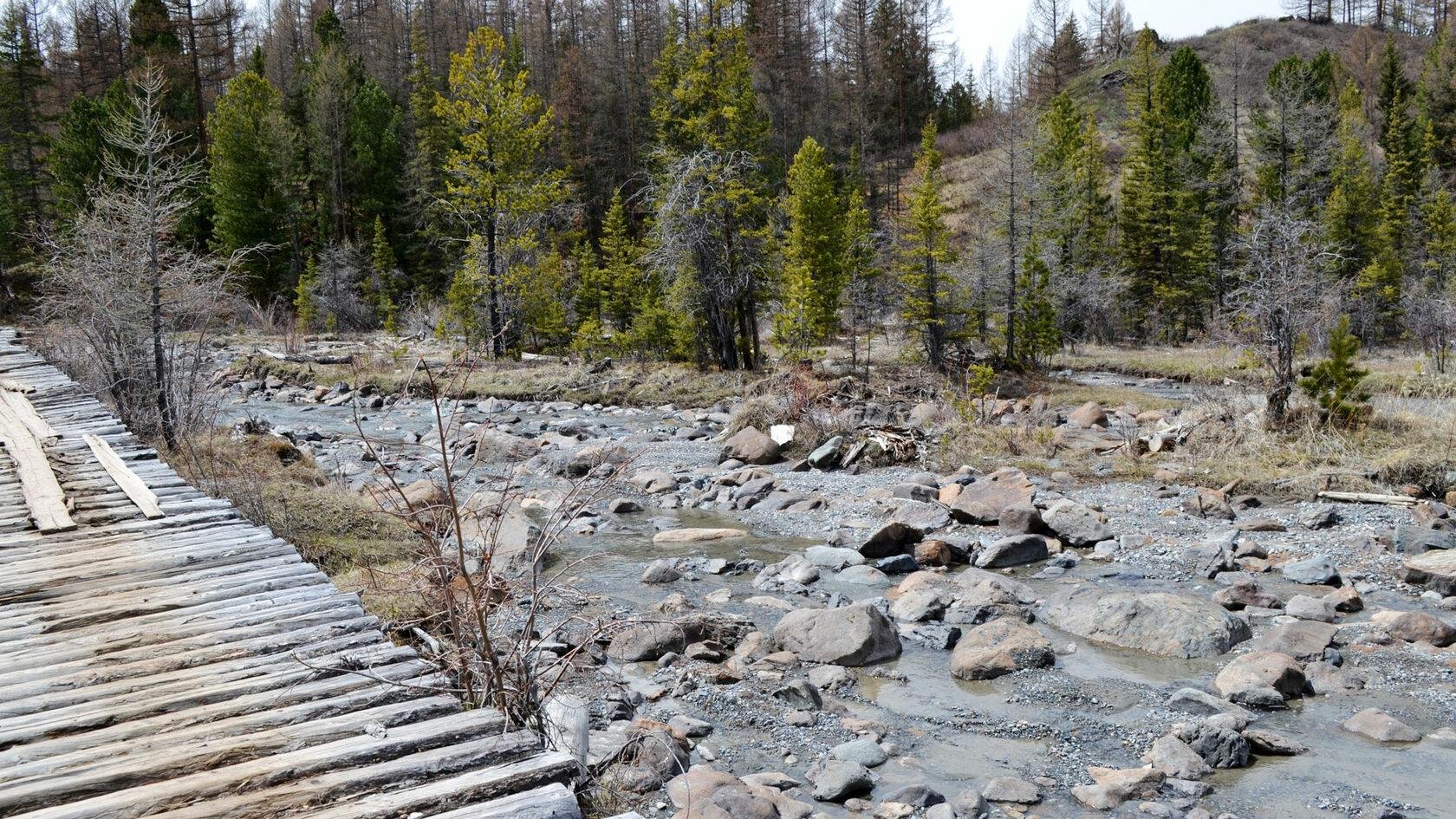 Красные ворота - фото 101