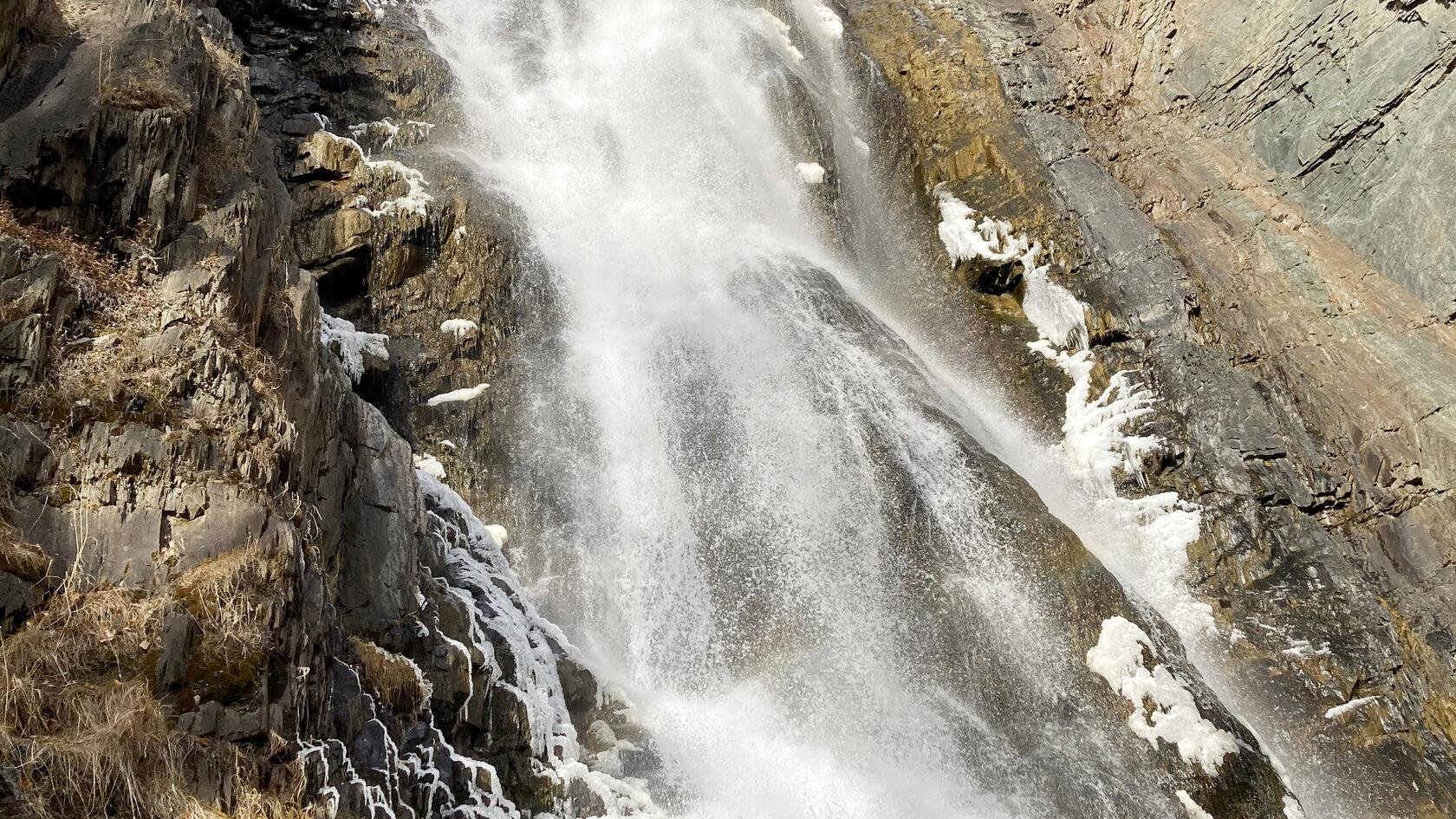 Красные ворота - фото 109