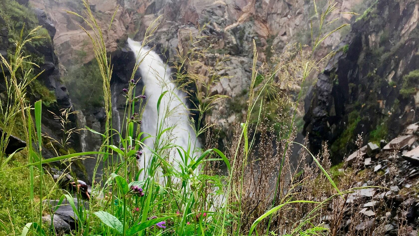 Красные ворота - фото 111