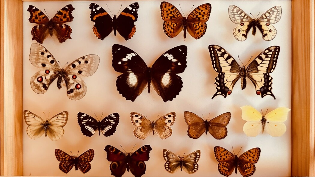 🏠 Двухместный номер с «королевской кроватью» , мини-кухней и отдельным входом на 2 этаже (№7) - фото 3