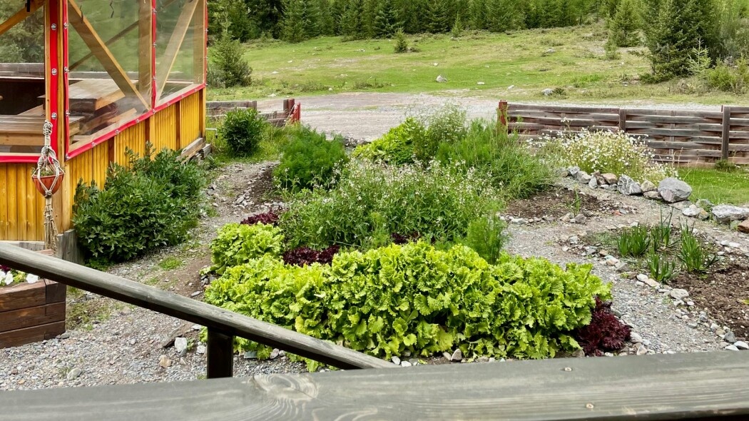 Отдельный 3-местный Кедровый дом с 3 односпальными кроватями (№1) - фото 18