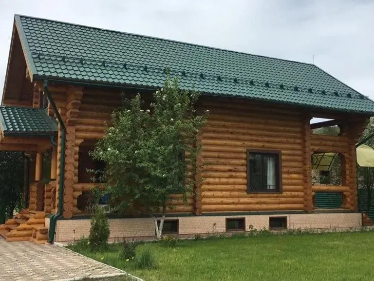 Незабудка - фото 3