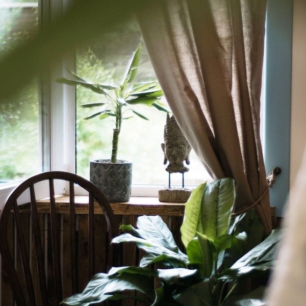 Ясности - фото 3