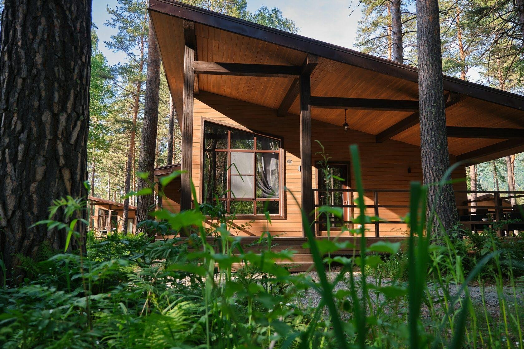 Altay River - фото 17