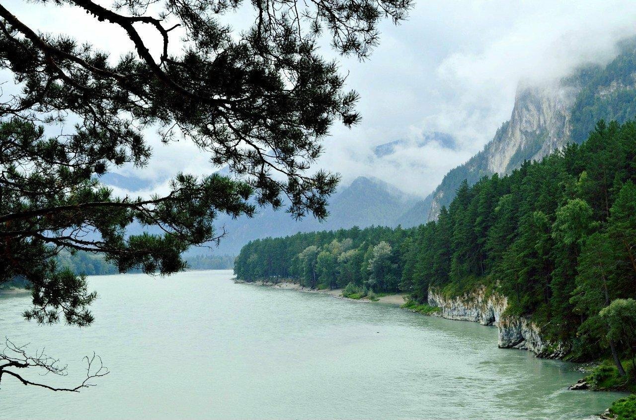 Altay River - фото 22