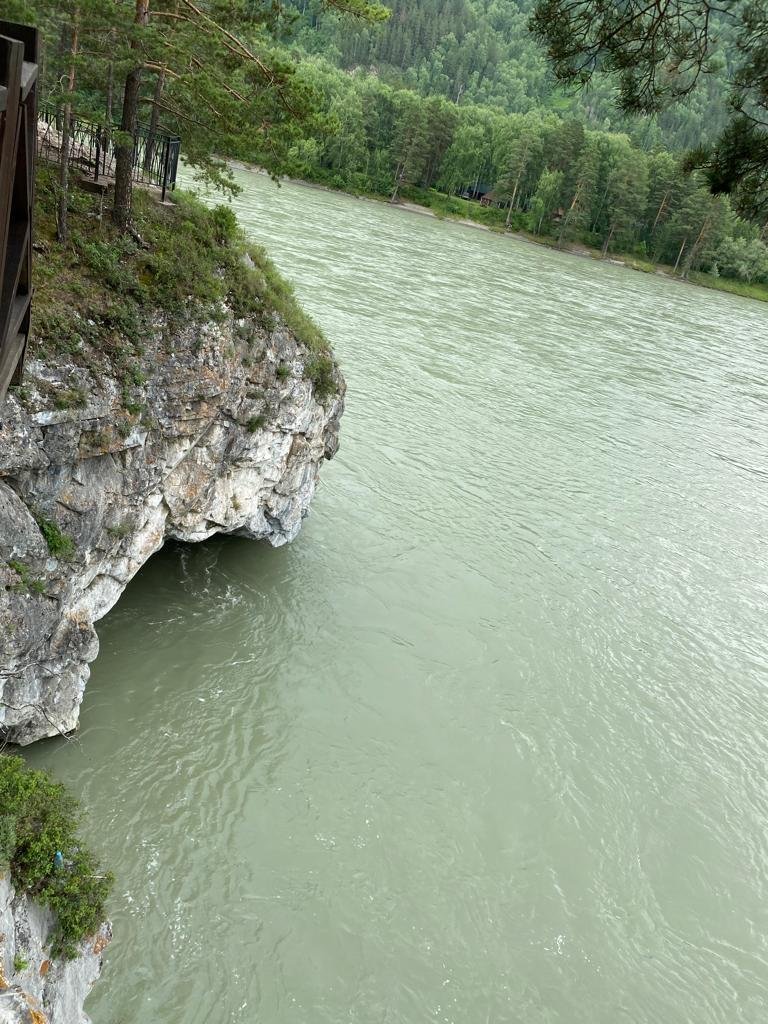 Altay River - фото 56