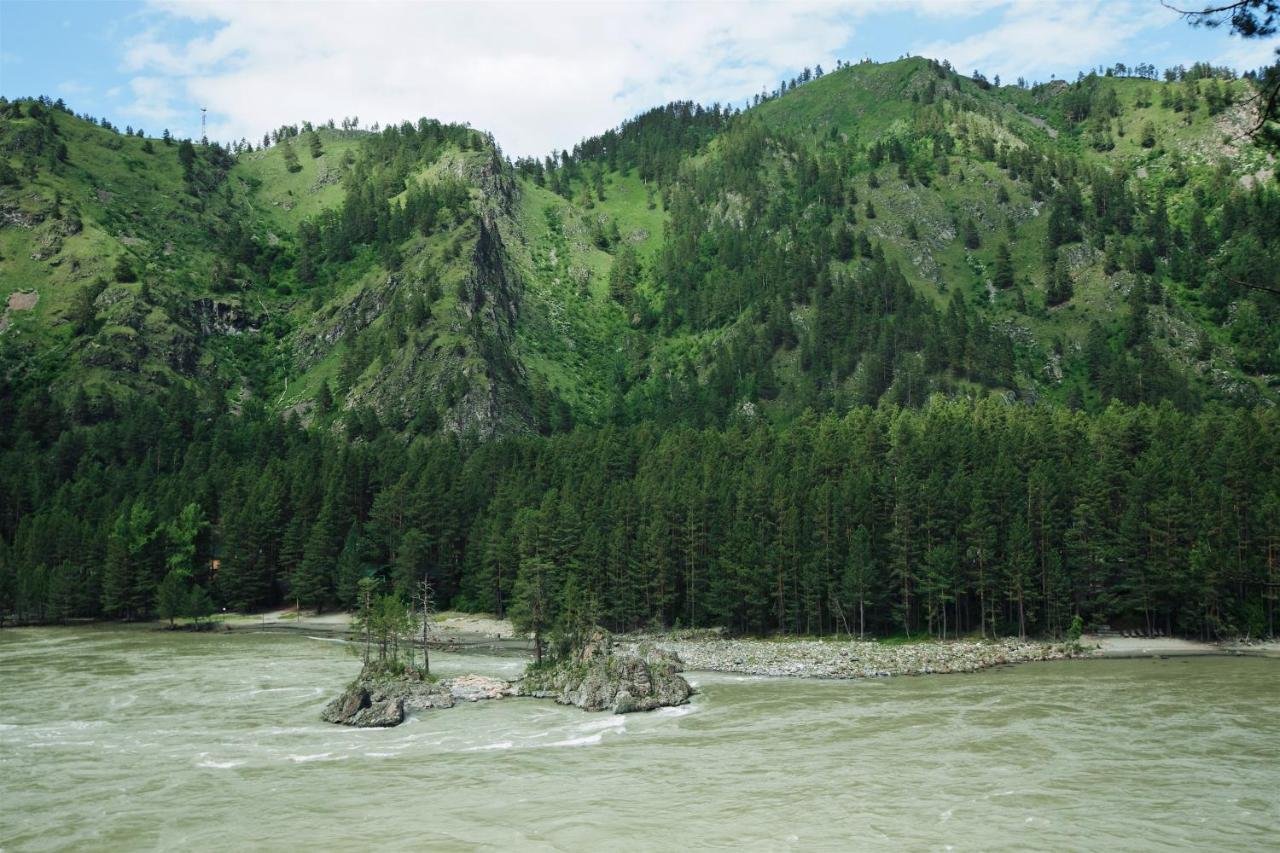 Wood park - фото 23