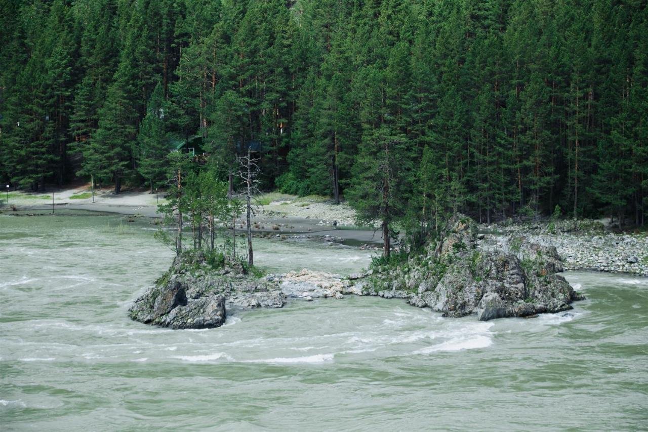 Wood park - фото 43