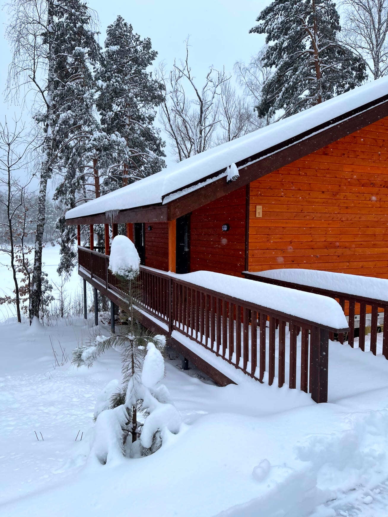 Про Отдых - фото 45