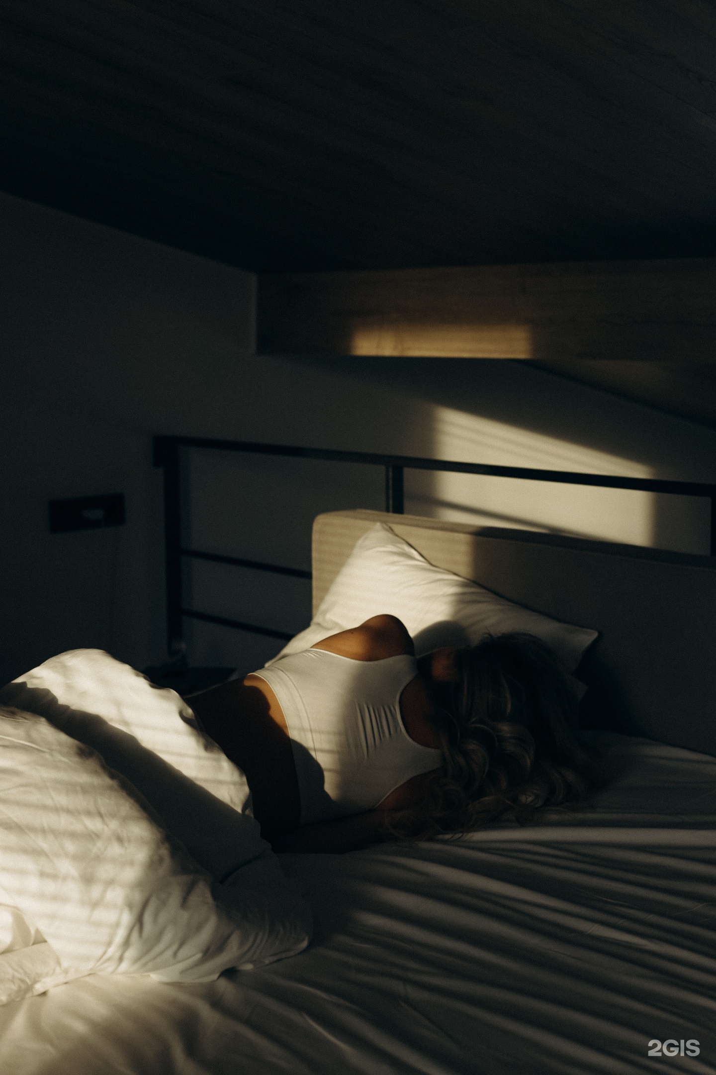 Альпака - фото 23