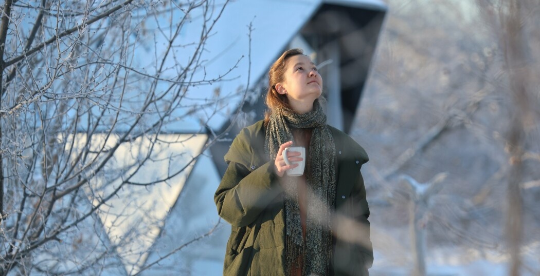 Зеркальная сфера - фото 10