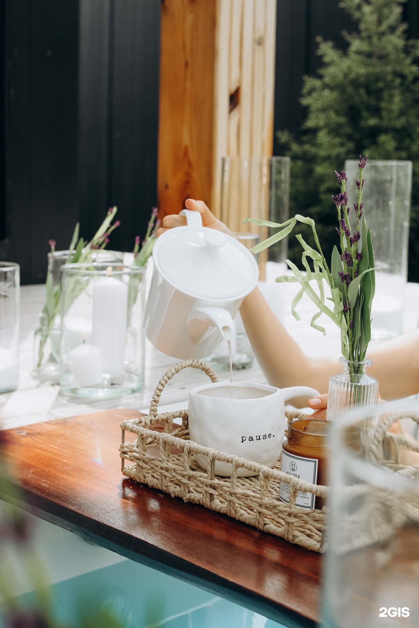 Альпака - фото 47