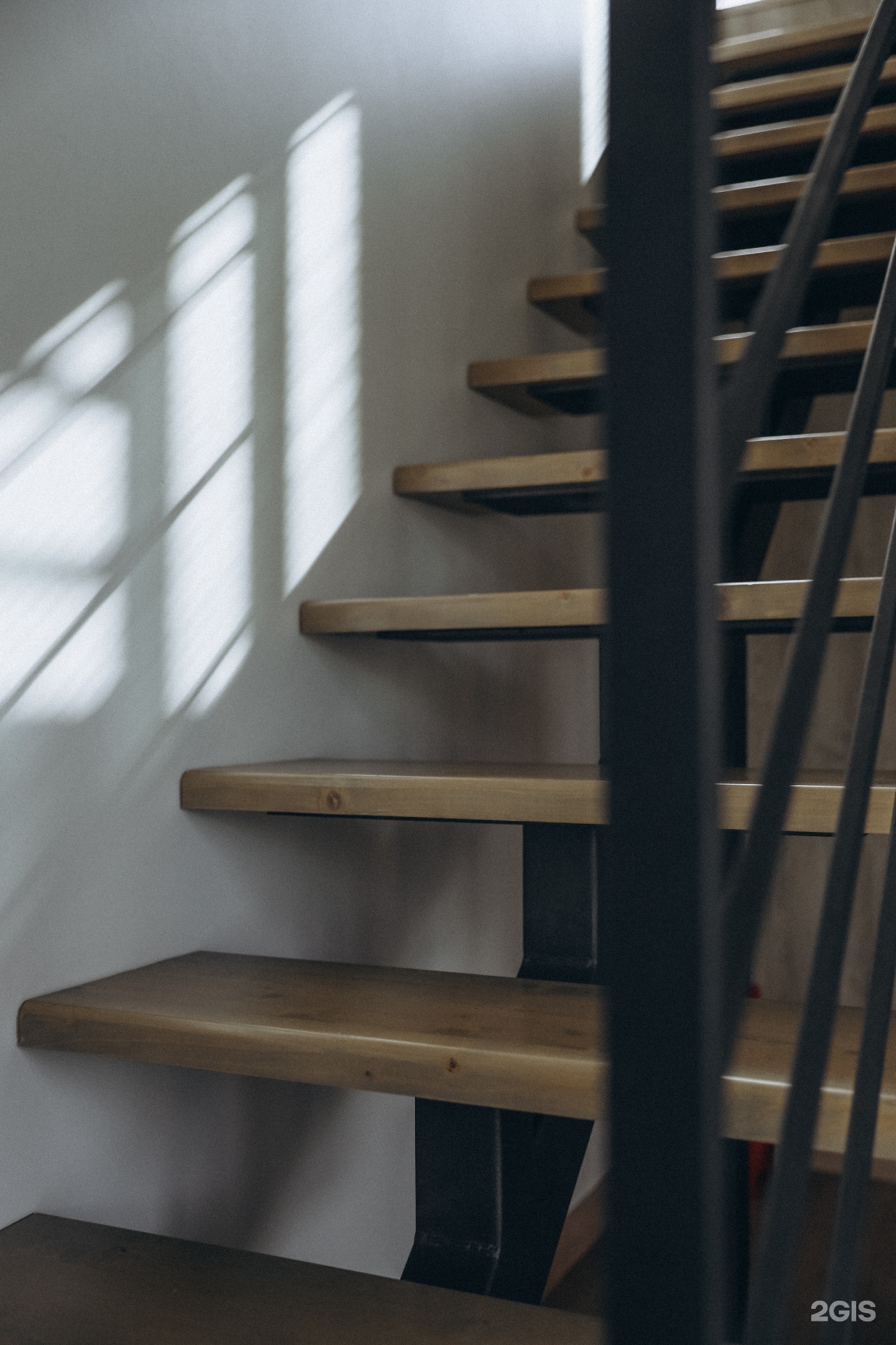 Альпака - фото 57