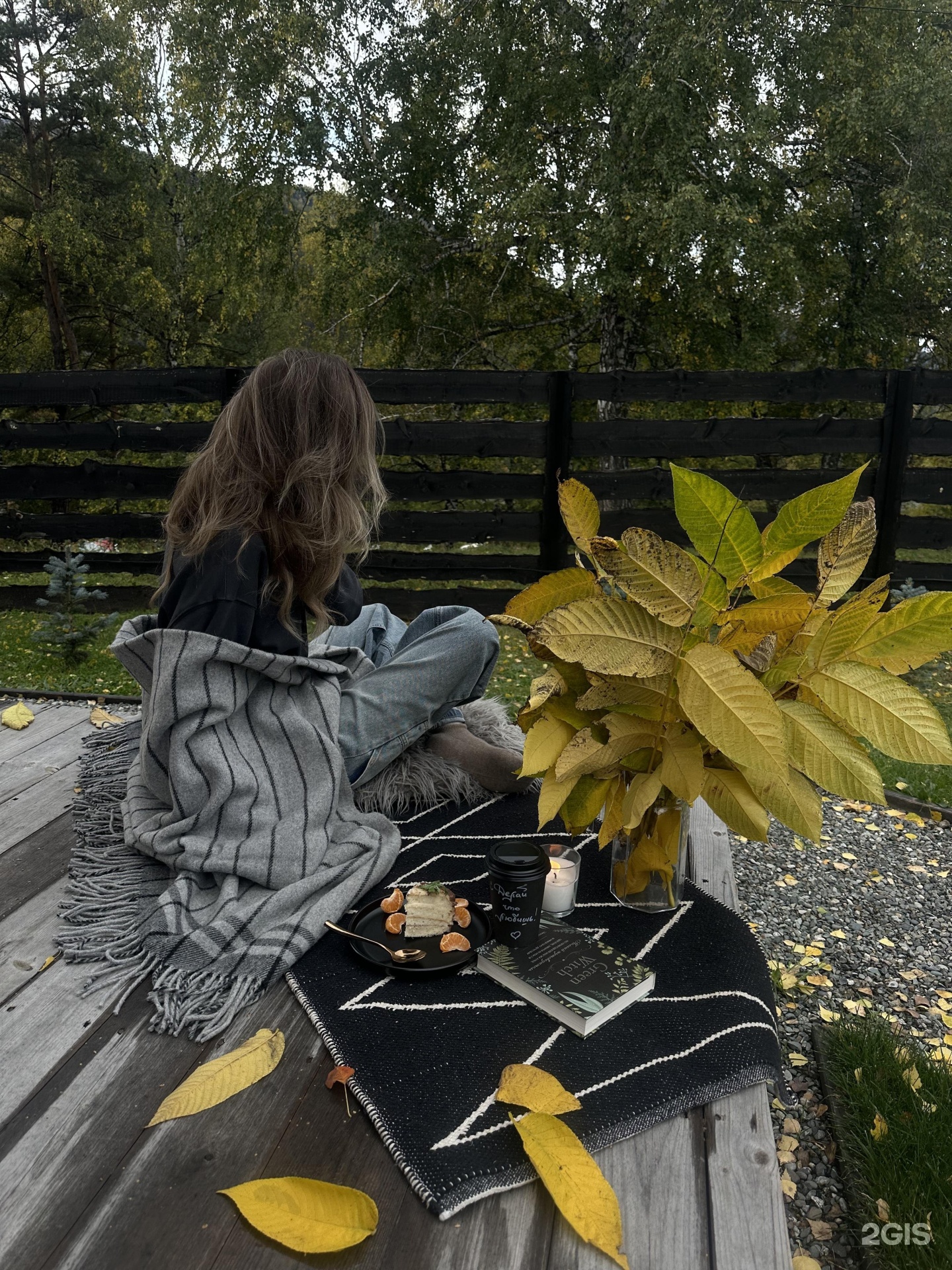 Альпака - фото 65