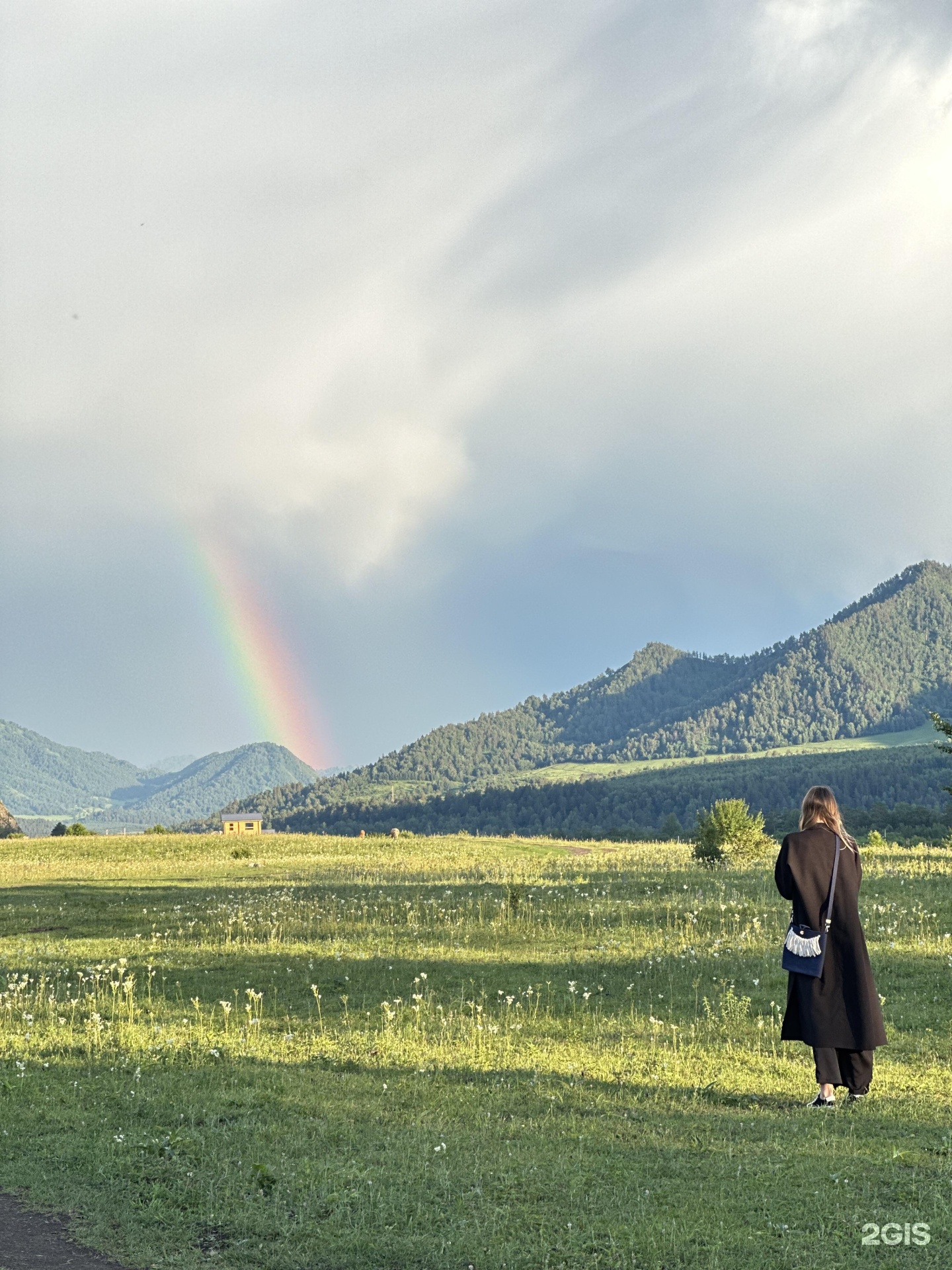 Альпака - фото 76