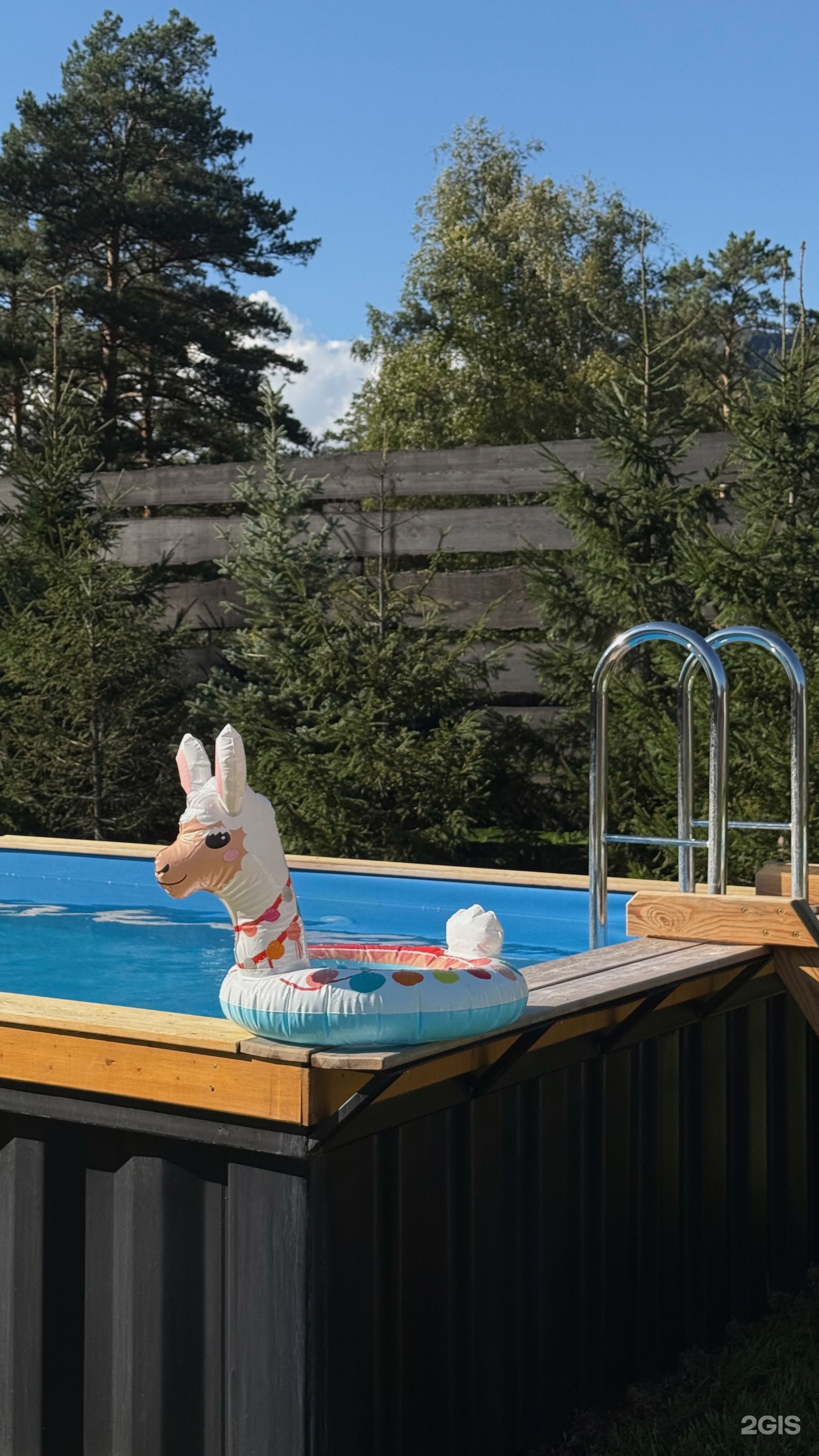 Альпака - фото 78