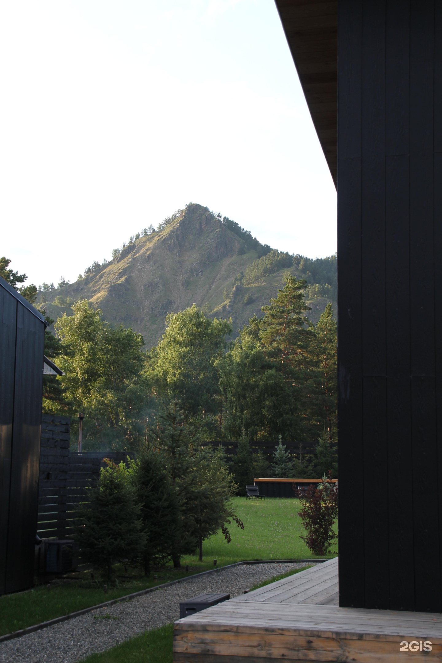 Альпака - фото 79