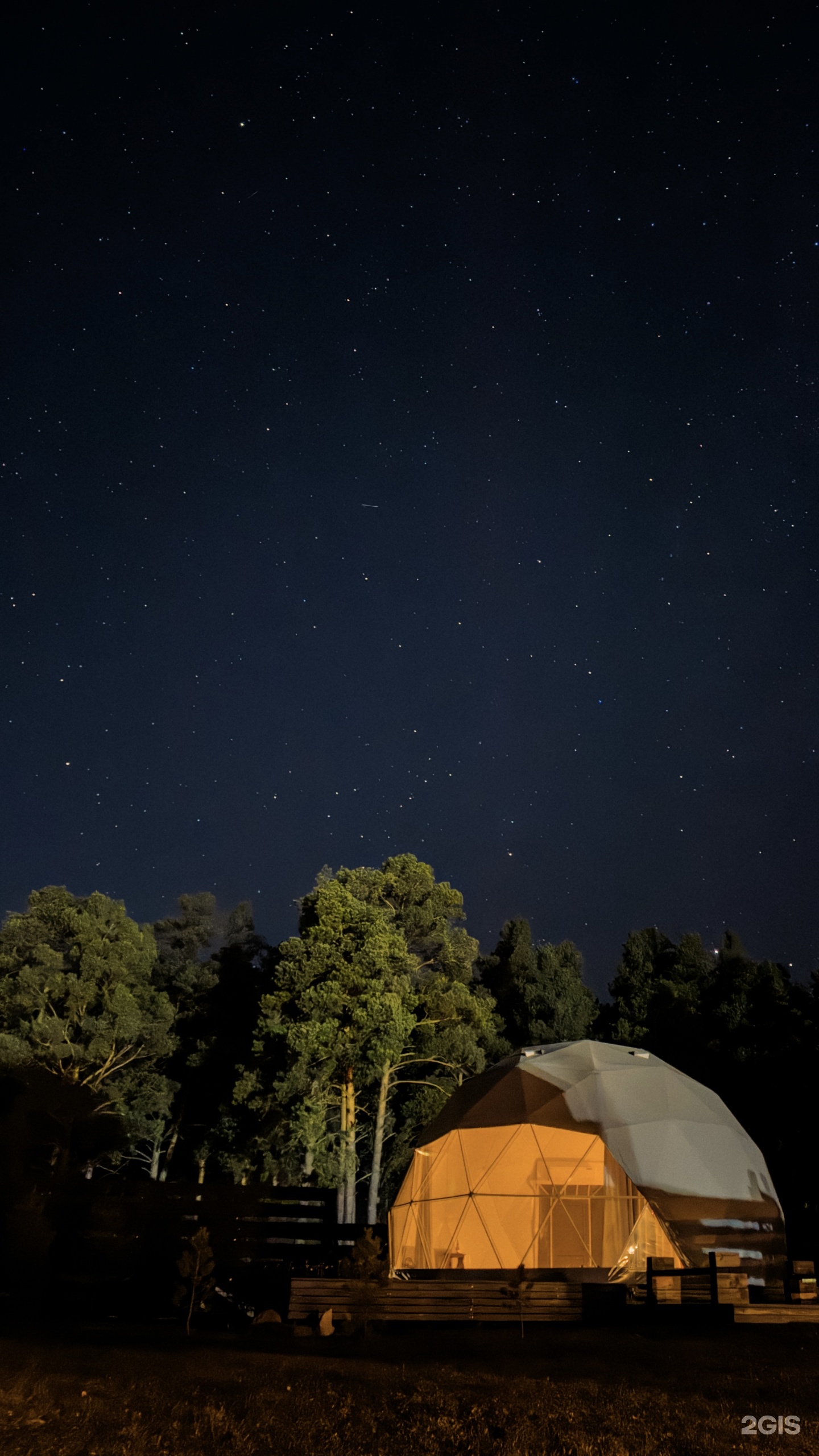 Альпака - фото 81