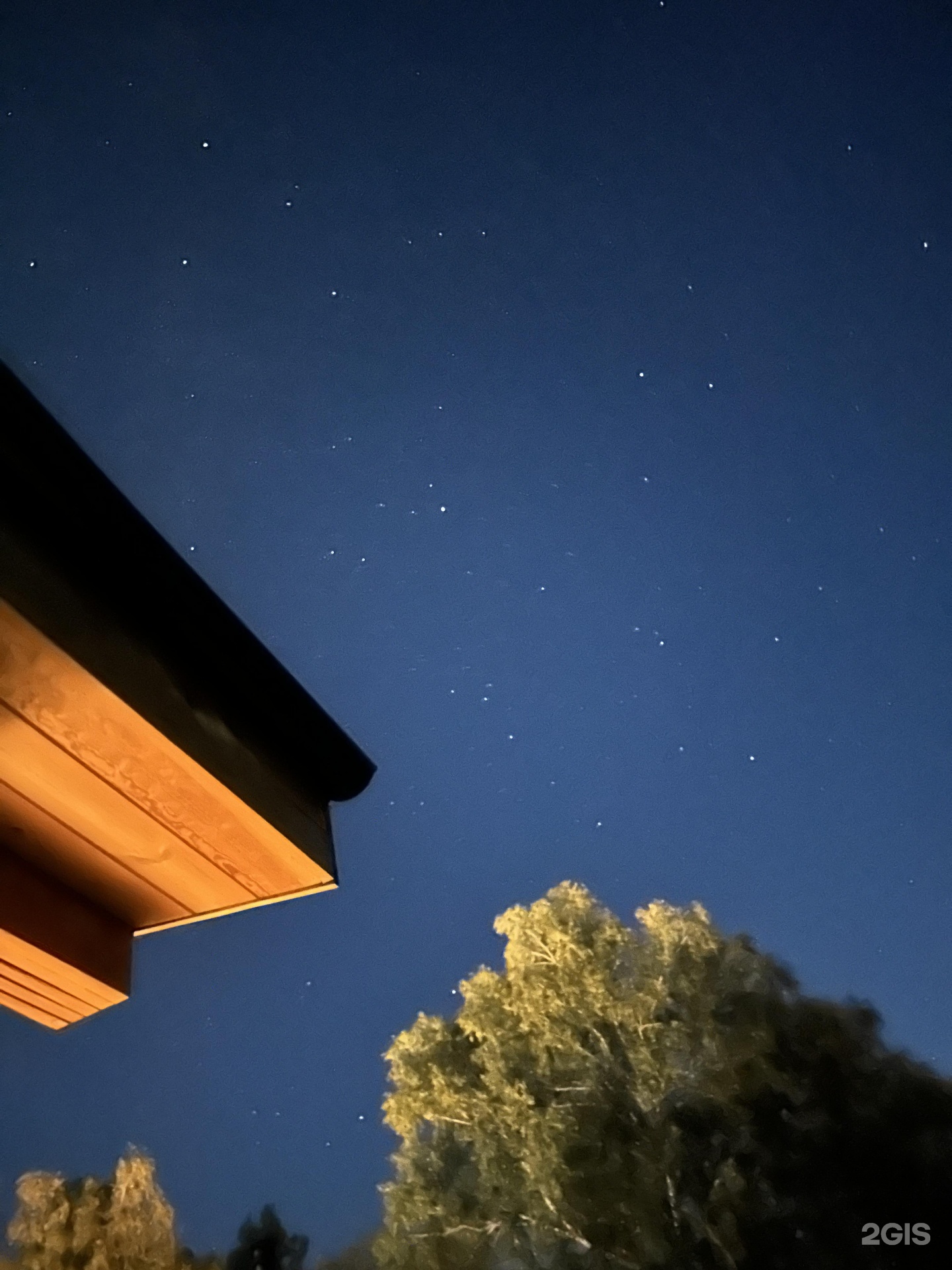 Альпака - фото 82