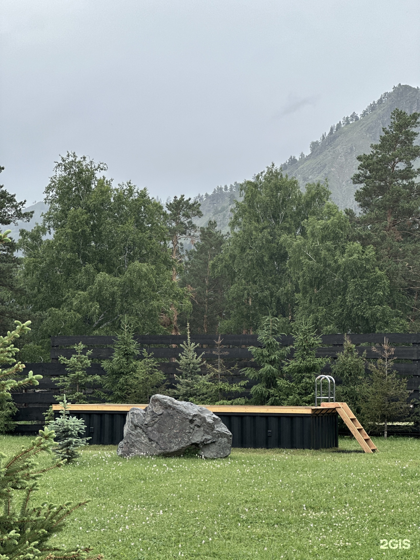 Альпака - фото 87