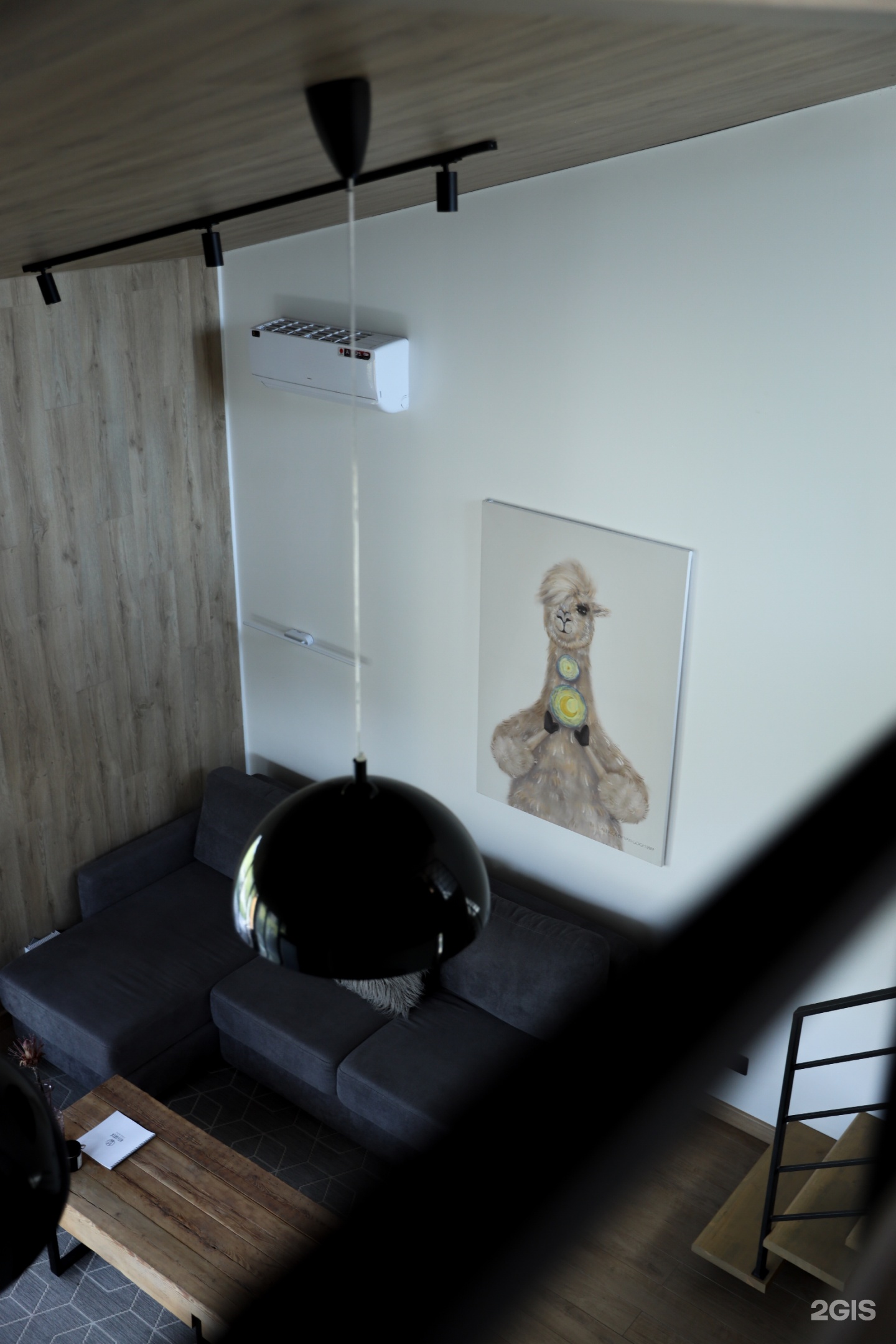 Альпака - фото 120