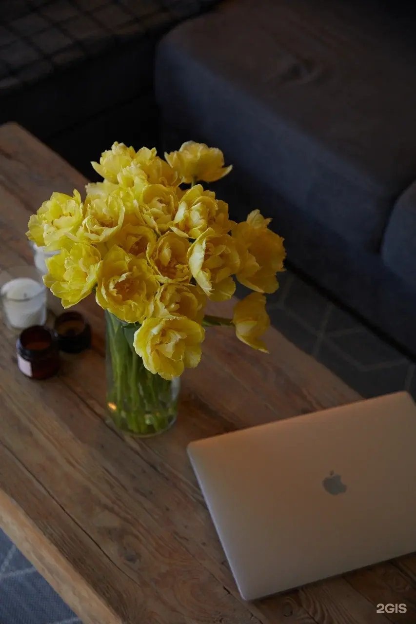 Альпака - фото 128