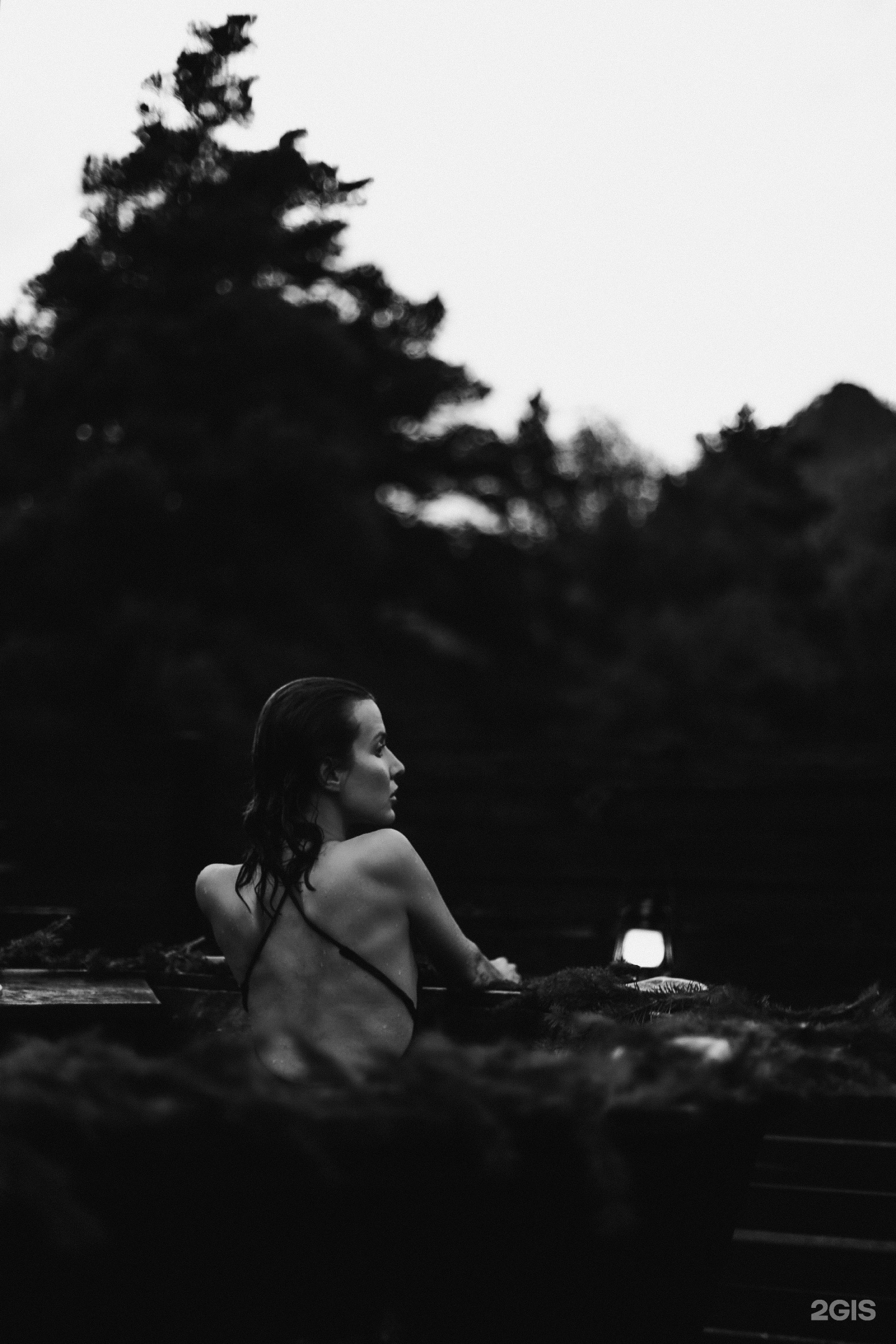 Альпака - фото 137