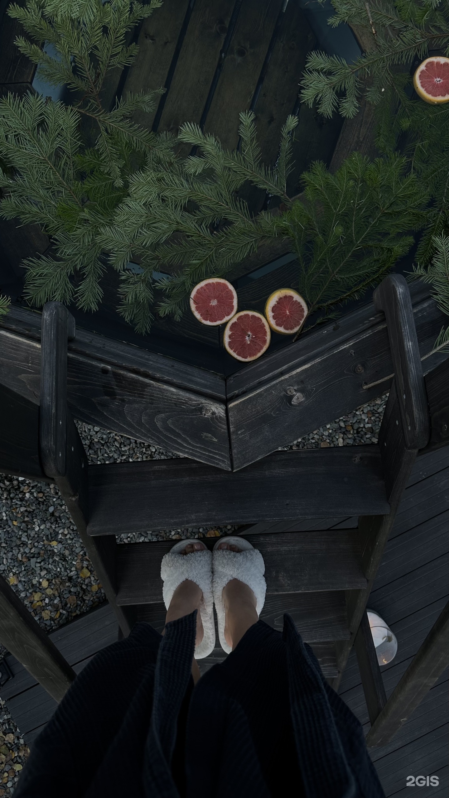 Альпака - фото 140